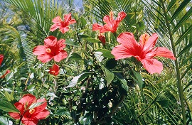 e0034633_18391158.jpg