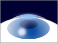 d0077740_13552313.jpg