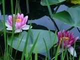 c0122445_94561.jpg