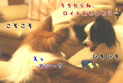 d0013149_2222281.jpg