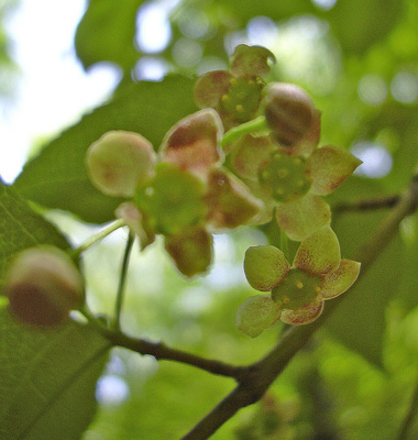 a0001354_21181458.jpg