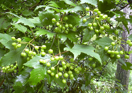 a0001354_21273740.jpg