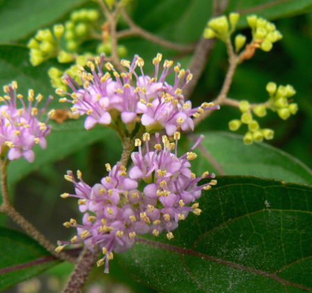 d0091754_23261969.jpg