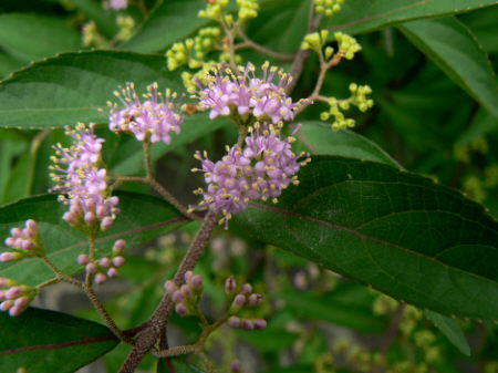 d0091754_23263240.jpg