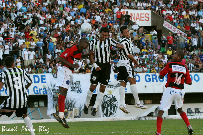 e0110461_10461353.jpg