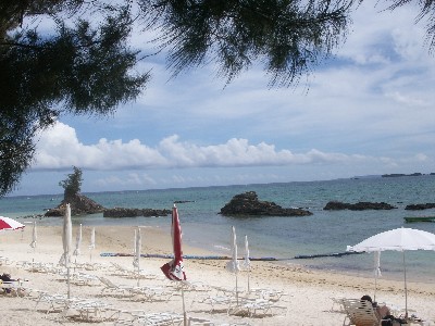 f0002265_2172797.jpg