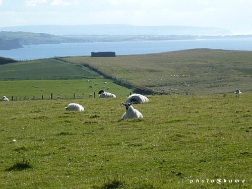 f0050468_053357.jpg