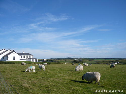 f0050468_063633.jpg