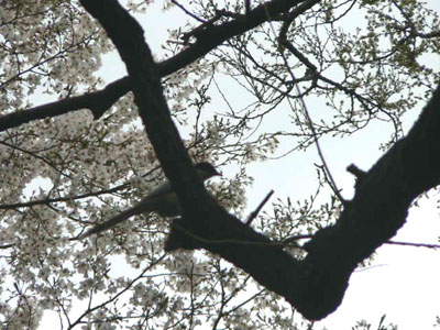 f0086169_21585230.jpg