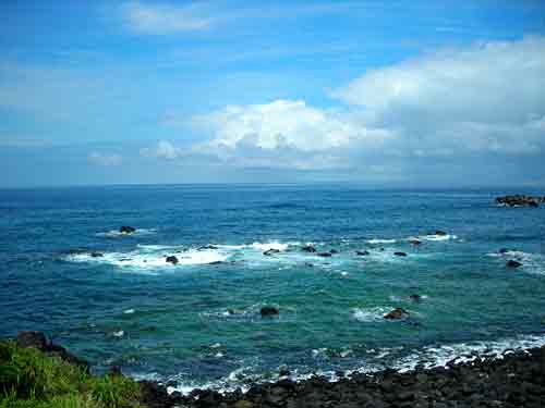 e0097770_20321428.jpg