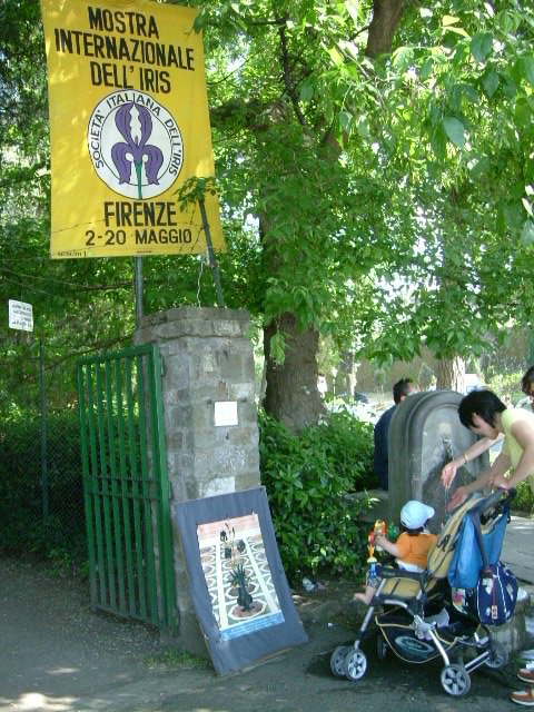 e0078071_2126183.jpg