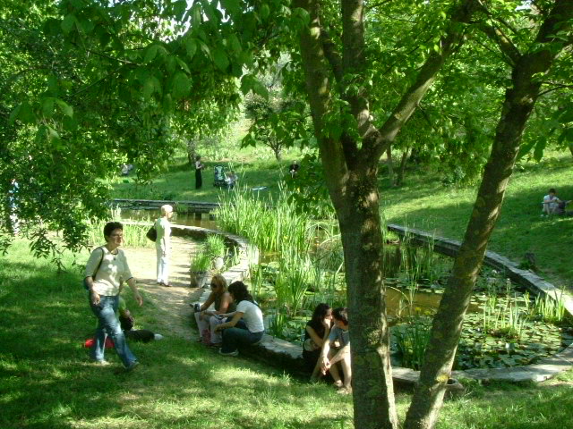 e0078071_21513615.jpg