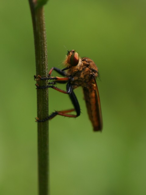 b0088772_15571037.jpg