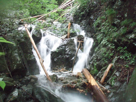 d0079579_1035090.jpg