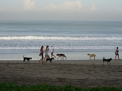 b0101284_22275364.jpg