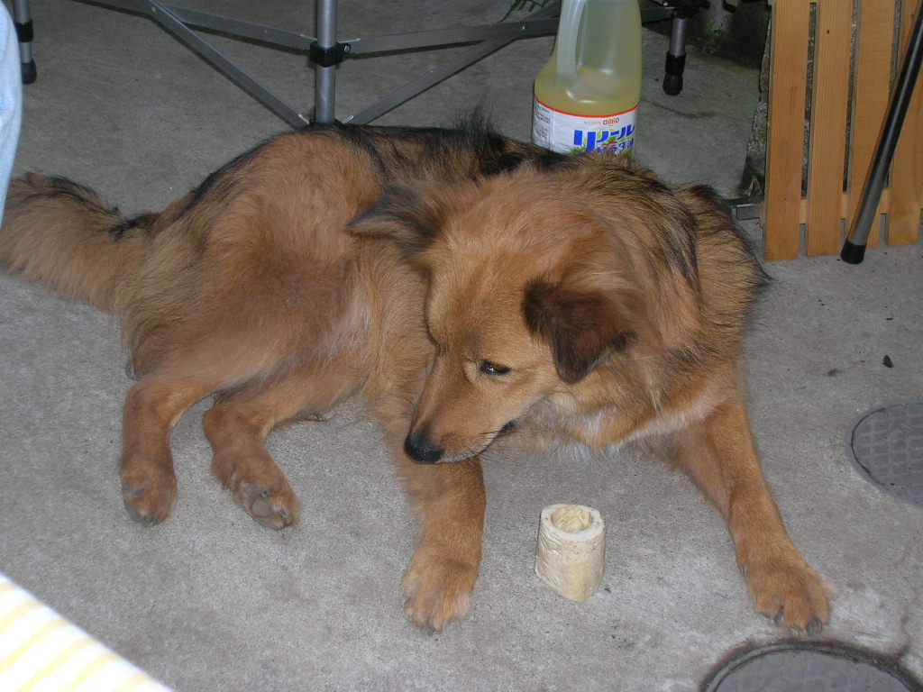 c0123890_2285937.jpg