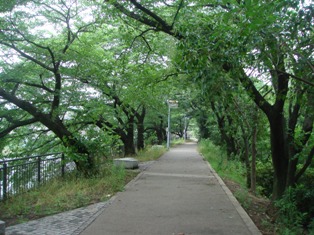 e0111793_18451250.jpg