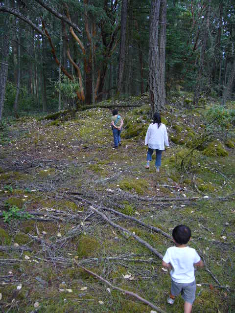 e0122193_2293827.jpg