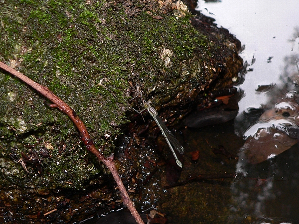 e0002314_23274678.jpg