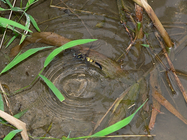 e0002314_23291729.jpg