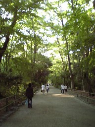 d0111217_2321924.jpg