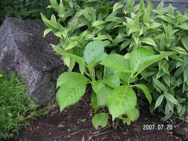 a0020929_1933561.jpg
