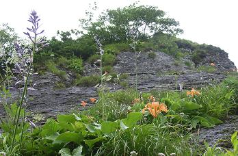 f0118332_14561431.jpg