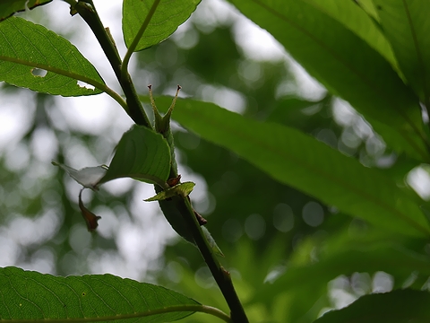 b0025738_3564833.jpg