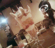 c0096342_1511231.jpg