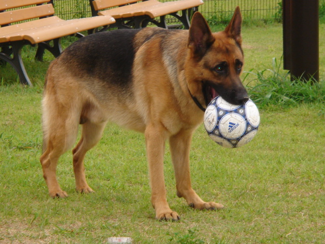 f0137544_0503320.jpg