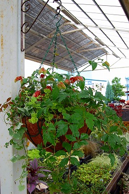 e0025655_6342010.jpg