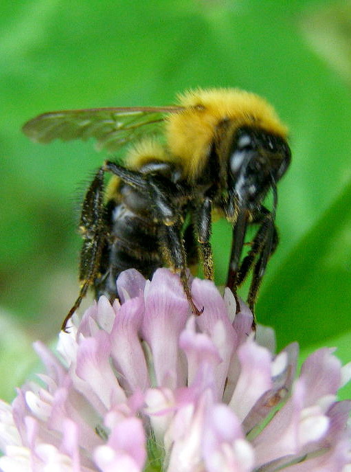e0064158_1563634.jpg