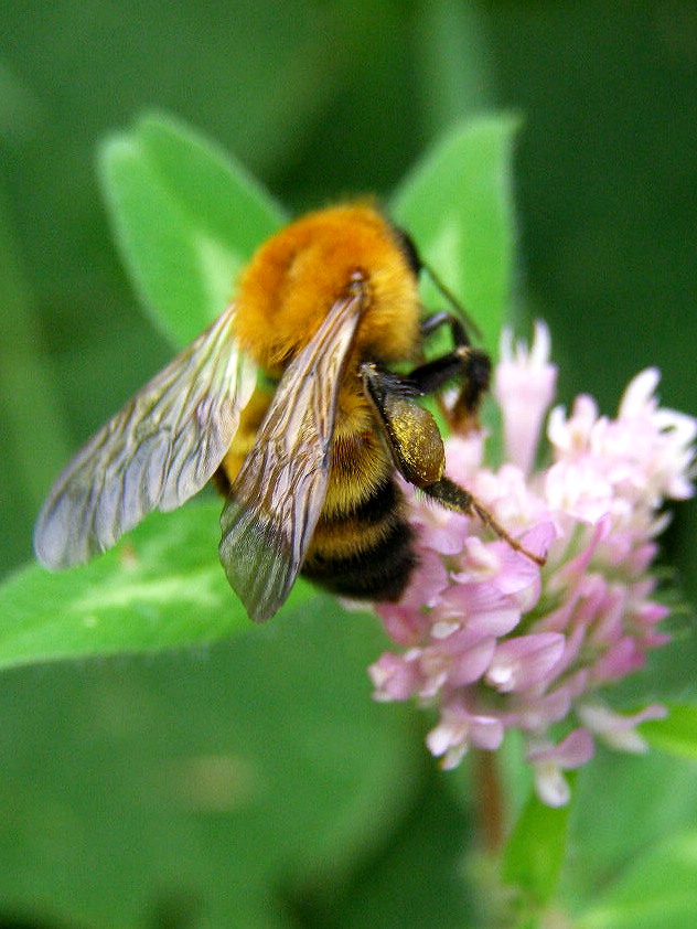 e0064158_1574043.jpg