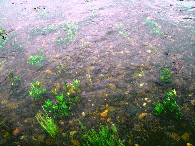 f0084561_1225132.jpg