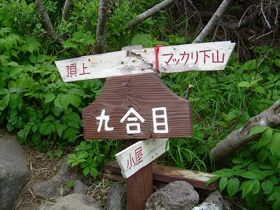 e0122168_1793055.jpg