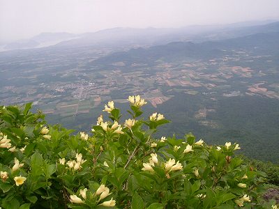 e0122168_22215275.jpg