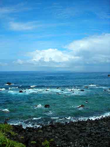 e0097770_15521636.jpg