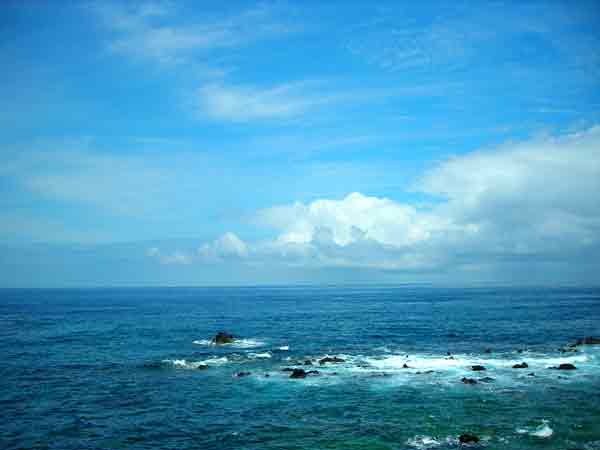 e0097770_1553619.jpg
