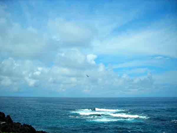 e0097770_15542846.jpg