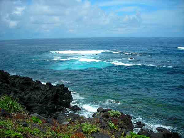 e0097770_1555672.jpg