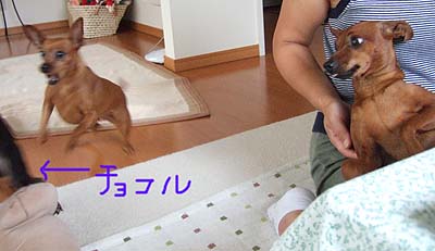 c0012571_17591912.jpg