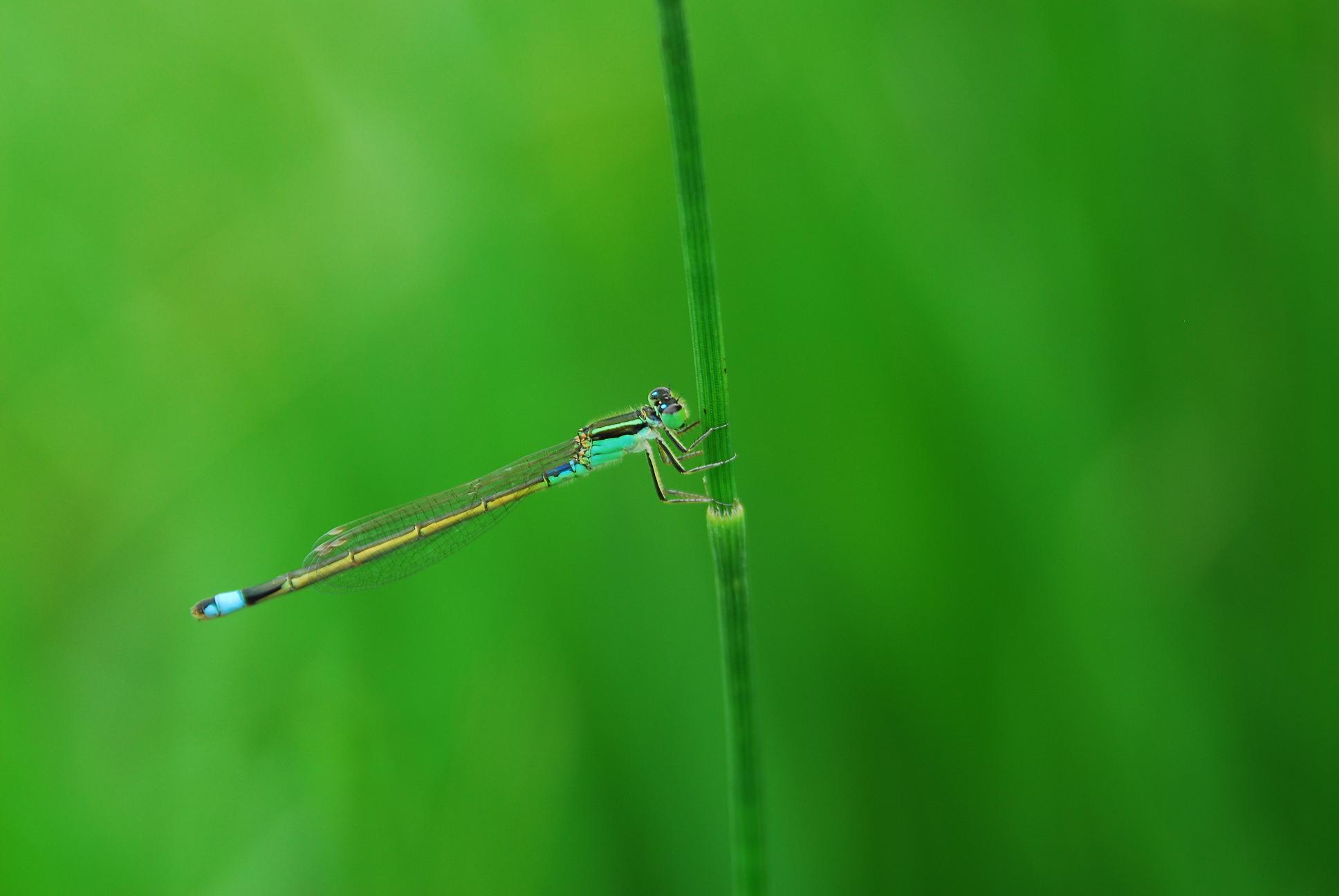 c0036878_2041344.jpg