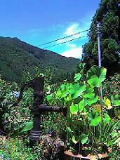 f0119179_05947.jpg