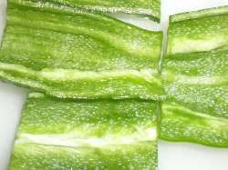 f0007580_22353985.jpg