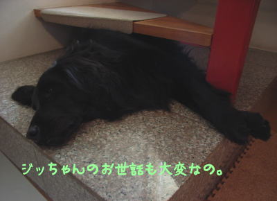 f0045283_1439746.jpg