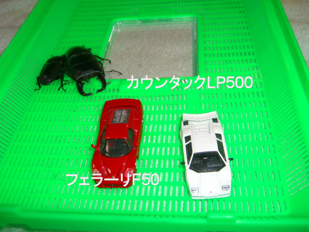 d0092388_14365672.jpg