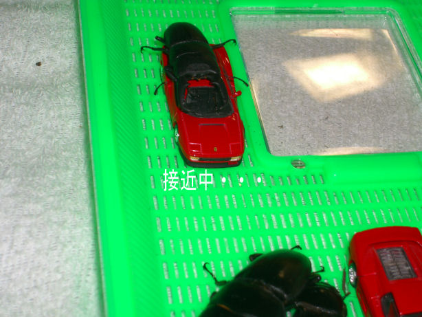 d0092388_14374359.jpg