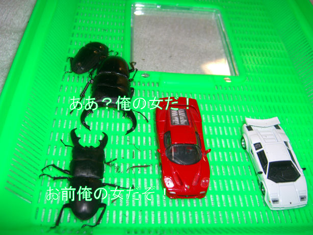 d0092388_14382160.jpg