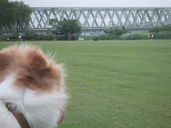 e0060288_21533141.jpg