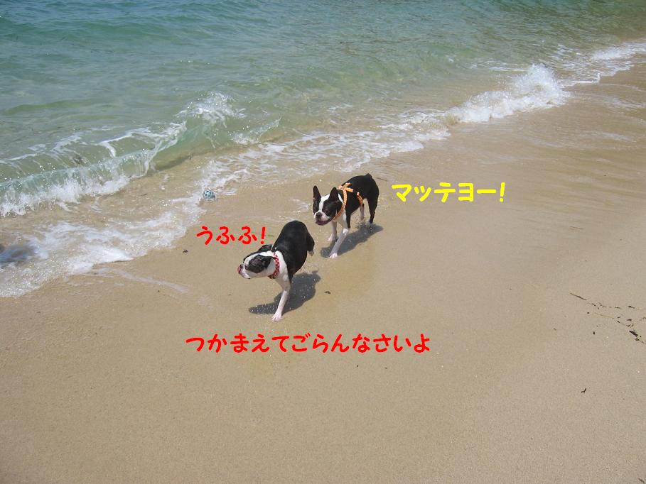 a0080889_21405123.jpg